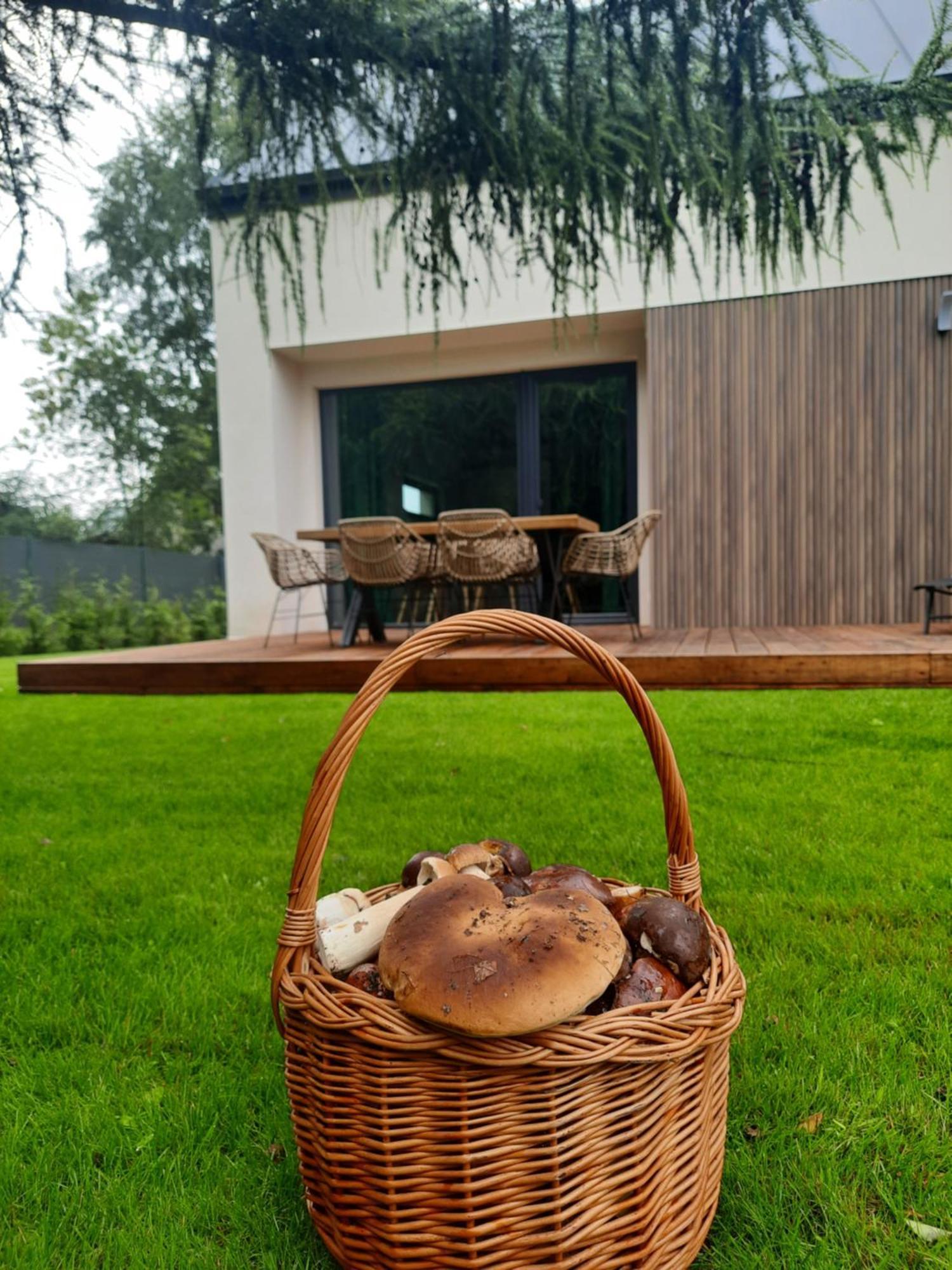 사시노 Sosnowe Zacisze 빌라 외부 사진